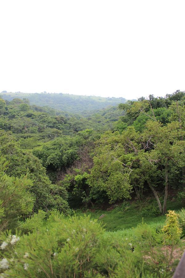 Nkutu River Lodge Kloof Bagian luar foto